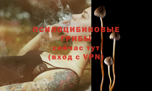 соль курить ск Абаза
