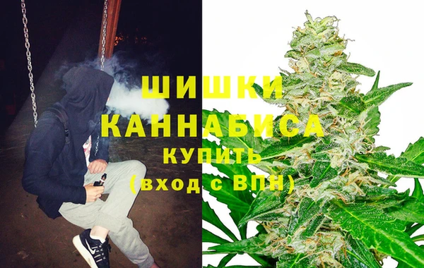 крисы Медвежьегорск
