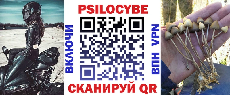shop официальный сайт  Никольское  Псилоцибиновые грибы Psilocybine cubensis 
